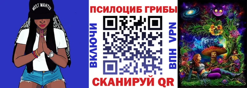 Псилоцибиновые грибы MAGIC MUSHROOMS  Шуя 